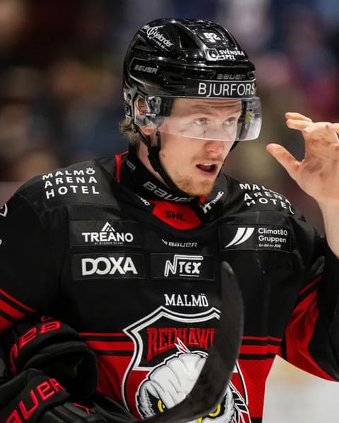 Robin Salo
